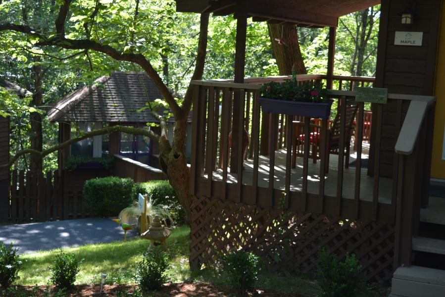 Maple Cabin The Woods Cabins in Eureka Springs