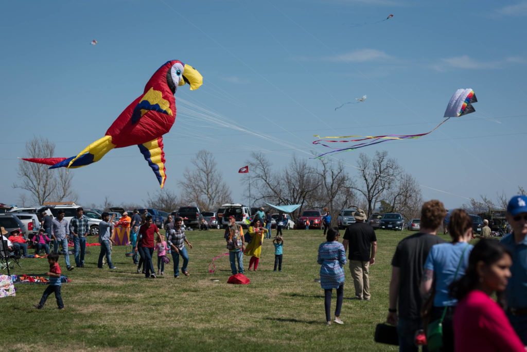 Kite Festival 2018 The Woods Cabins in Eureka Springs