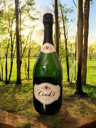 Champagne